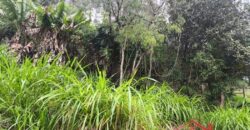 🏞️ 02 Terrenos à Venda – Ideal para Construção Residencial