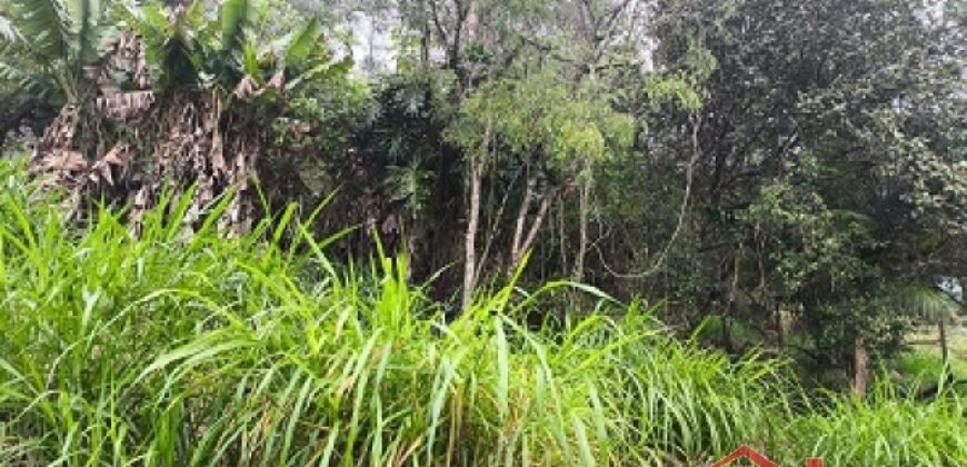 🏞️ 02 Terrenos à Venda – Ideal para Construção Residencial