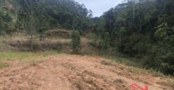 🌿✨ Sítio à Venda – Excelente Oportunidade em Ibirama!