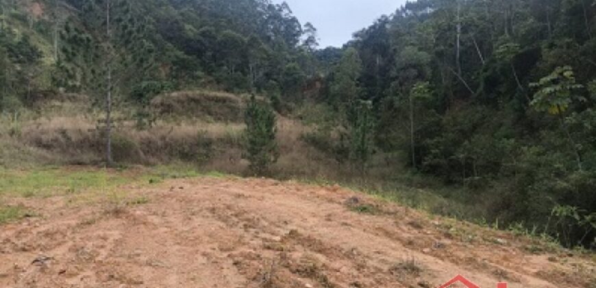 🌿✨ Sítio à Venda – Excelente Oportunidade em Ibirama!