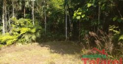 🌿 SÍTIO EM IBIRAMA – GRANDE OPORTUNIDADE! 🌿