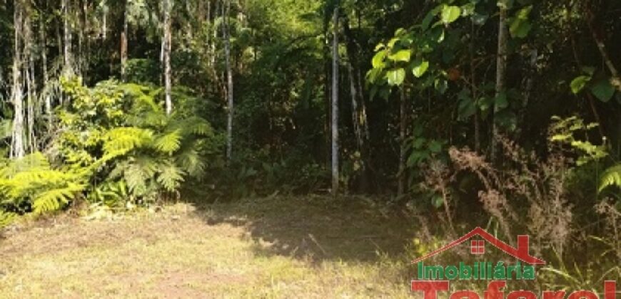 🌿 SÍTIO EM IBIRAMA – GRANDE OPORTUNIDADE! 🌿