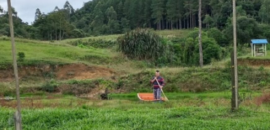 SÍTIO EM VITOR MEIRELLES