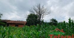 🌟 Oportunidade de Investimento em Ibirama! 💼