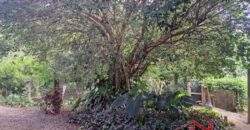 🌄 Um verdadeiro refúgio em meio à natureza!