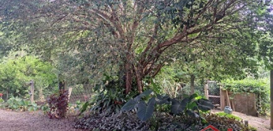 🌄 Um verdadeiro refúgio em meio à natureza!