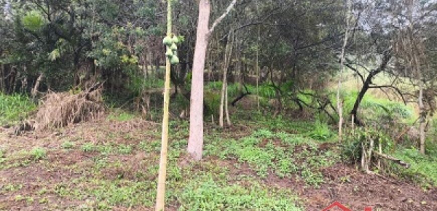 🏞️ 02 Terrenos à Venda – Ideal para Construção Residencial