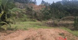 🌿✨ Sítio à Venda – Excelente Oportunidade em Ibirama!