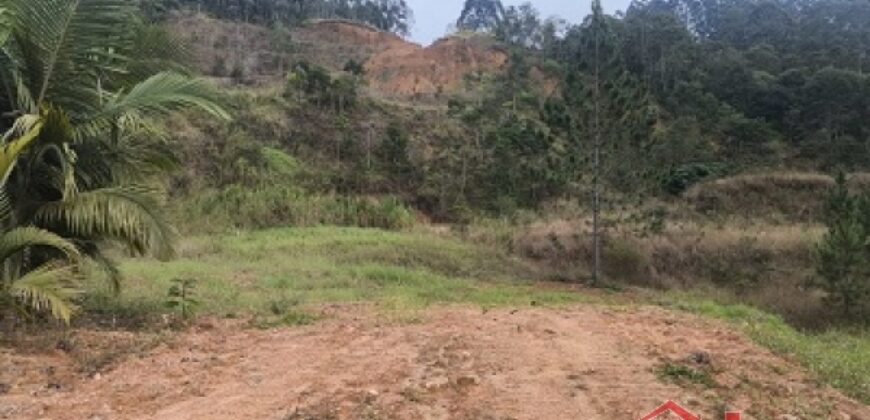 🌿✨ Sítio à Venda – Excelente Oportunidade em Ibirama!