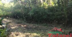 🌿 SÍTIO EM IBIRAMA – GRANDE OPORTUNIDADE! 🌿