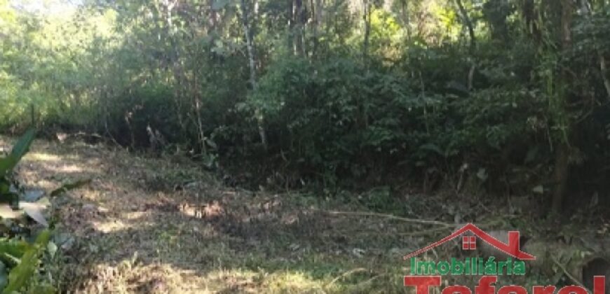 🌿 SÍTIO EM IBIRAMA – GRANDE OPORTUNIDADE! 🌿