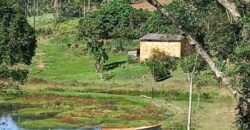 SÍTIO EM VITOR MEIRELLES