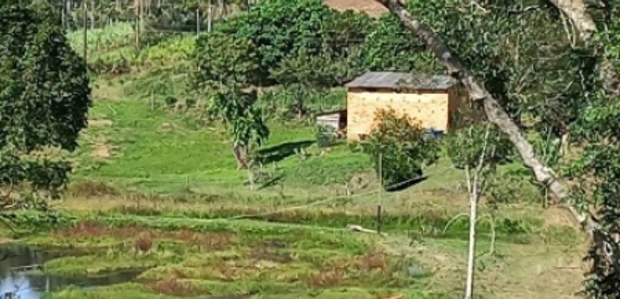 SÍTIO EM VITOR MEIRELLES