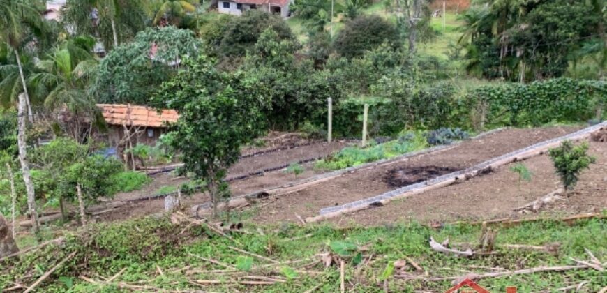 🔥 TERRENO GRANDE NO CENTRO DE IBIRAMA – PREÇO IMPERDÍVEL 🔥