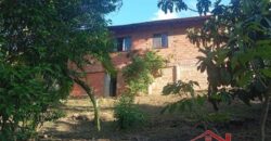 Tranquilidade, espaço e contato com a natureza