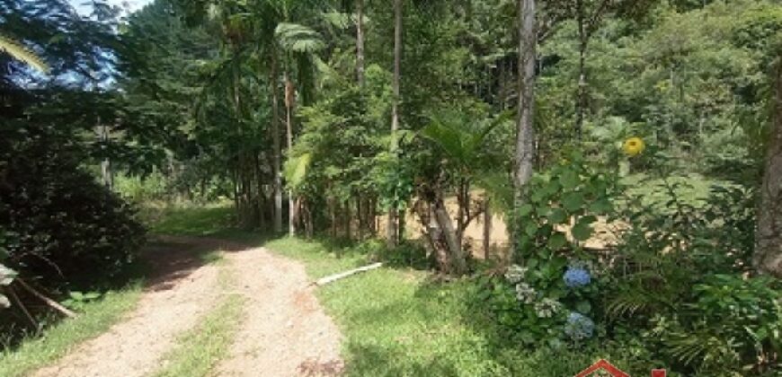 Sítio Encantador em Ibirama! 🏡