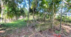 Terreno em Localização Privilegiada!