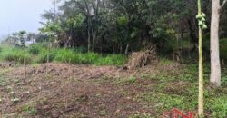 🏞️ 02 Terrenos à Venda – Ideal para Construção Residencial