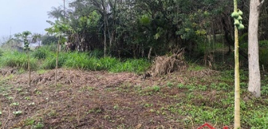 🏞️ 02 Terrenos à Venda – Ideal para Construção Residencial