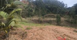 🌿✨ Sítio à Venda – Excelente Oportunidade em Ibirama!