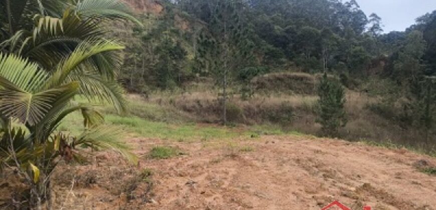 🌿✨ Sítio à Venda – Excelente Oportunidade em Ibirama!