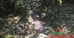 🌿 SÍTIO EM IBIRAMA – GRANDE OPORTUNIDADE! 🌿