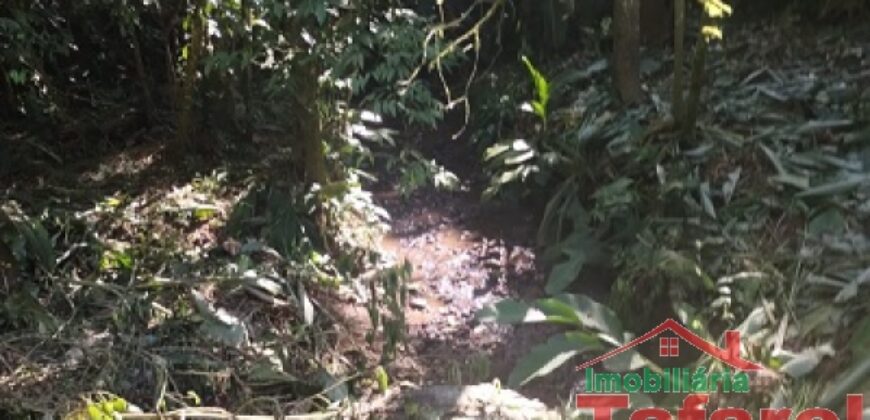 🌿 SÍTIO EM IBIRAMA – GRANDE OPORTUNIDADE! 🌿