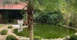 🌿✨ LINDA CHÁCARA EM IBIRAMA! ✨🌿