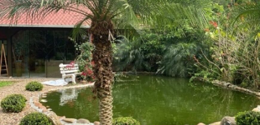 🌿✨ LINDA CHÁCARA EM IBIRAMA! ✨🌿