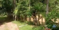 Sítio Encantador em Ibirama! 🏡