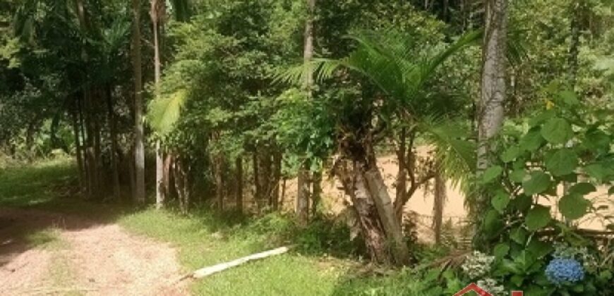 Sítio Encantador em Ibirama! 🏡