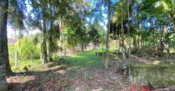 Terreno em Localização Privilegiada!