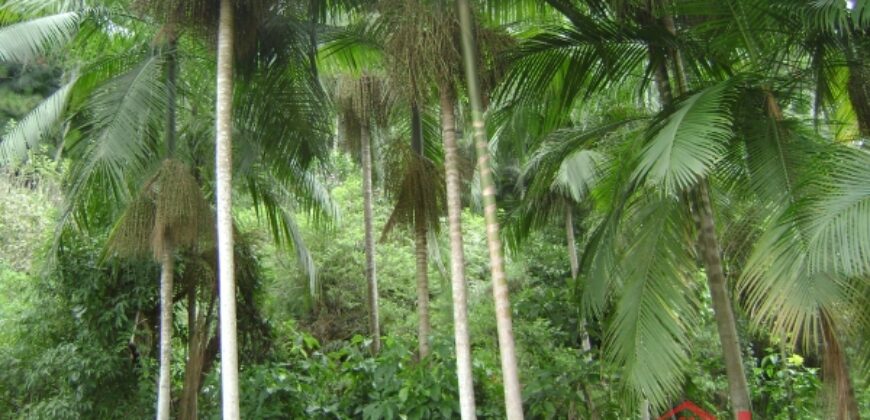 🌿🏡 Oportunidade Exclusiva para Investidores em Ibirama!