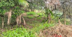 🏞️ 02 Terrenos à Venda – Ideal para Construção Residencial