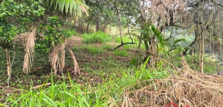 🏞️ 02 Terrenos à Venda – Ideal para Construção Residencial