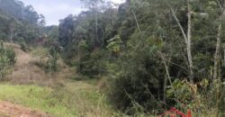 🌿✨ Sítio à Venda – Excelente Oportunidade em Ibirama!