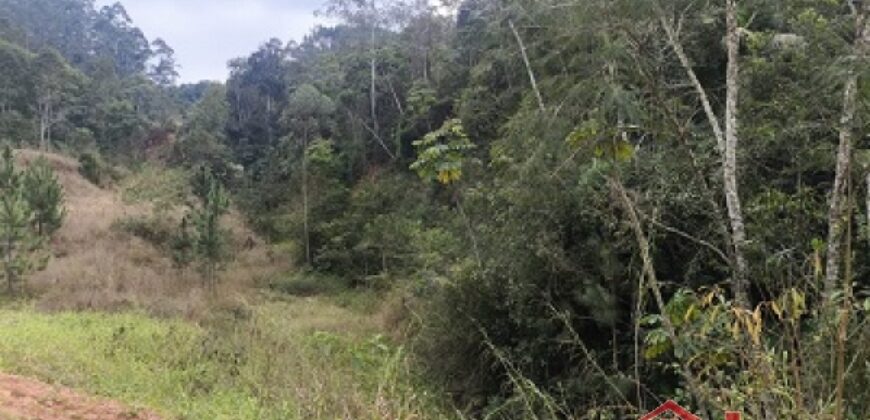 🌿✨ Sítio à Venda – Excelente Oportunidade em Ibirama!