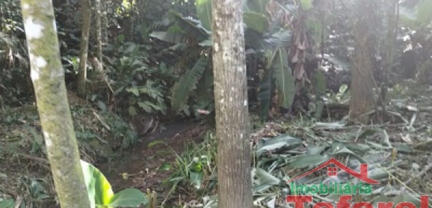 🌿 SÍTIO EM IBIRAMA – GRANDE OPORTUNIDADE! 🌿