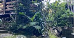 🌿✨ LINDA CHÁCARA EM IBIRAMA! ✨🌿