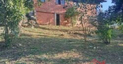 Tranquilidade, espaço e contato com a natureza