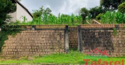 🌟 Oportunidade de Investimento em Ibirama! 💼