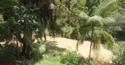 Sítio Encantador em Ibirama! 🏡