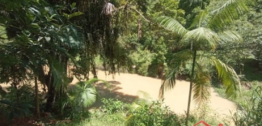 Sítio Encantador em Ibirama! 🏡