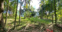 Terreno em Localização Privilegiada!