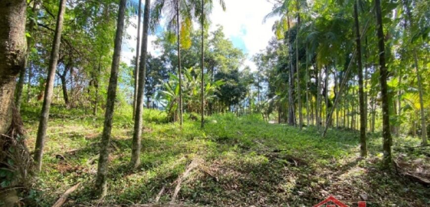 Terreno em Localização Privilegiada!