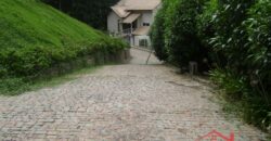 🌿🏡 Oportunidade Exclusiva para Investidores em Ibirama!