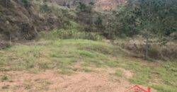 🌿✨ Sítio à Venda – Excelente Oportunidade em Ibirama!