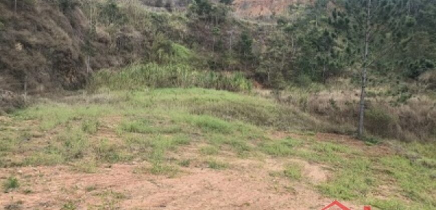 🌿✨ Sítio à Venda – Excelente Oportunidade em Ibirama!