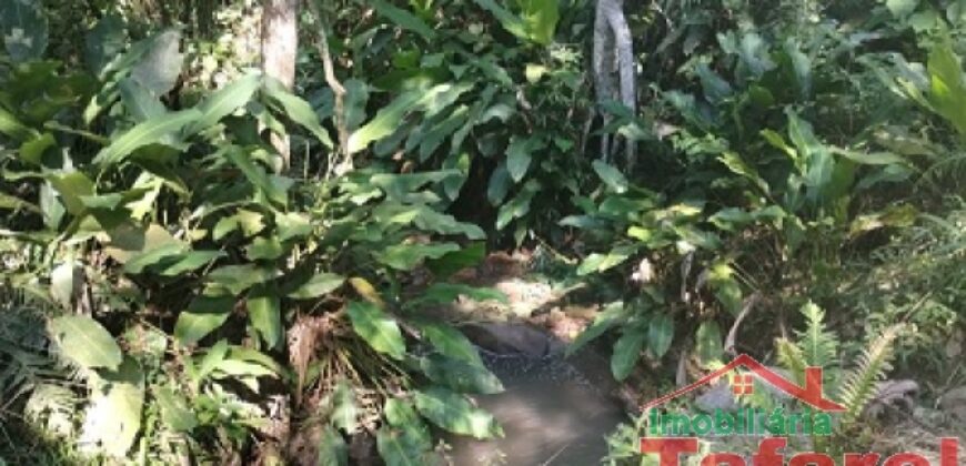 🌿 SÍTIO EM IBIRAMA – GRANDE OPORTUNIDADE! 🌿