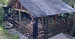 🌿✨ LINDA CHÁCARA EM IBIRAMA! ✨🌿